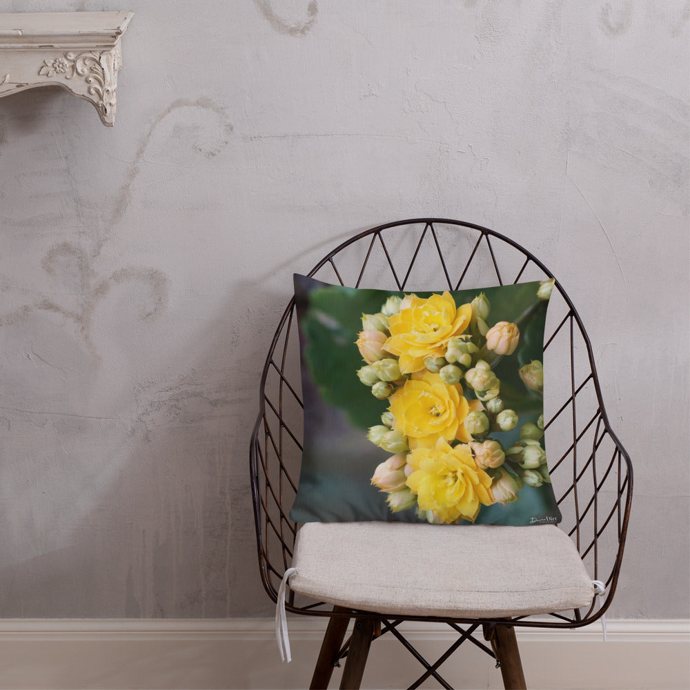 Yellow Kalanchoe Premium Pillow with Teal Back