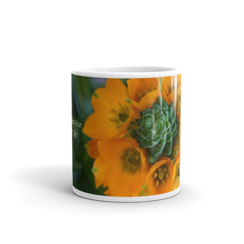 Orange Star "Manifest Your Best Life!"