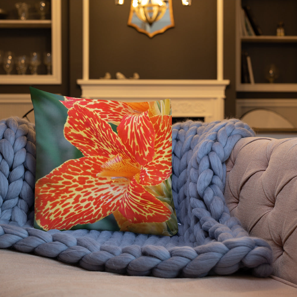 Orange Dwarf Canna 'Picasso' Premium Pillow with Orange Back