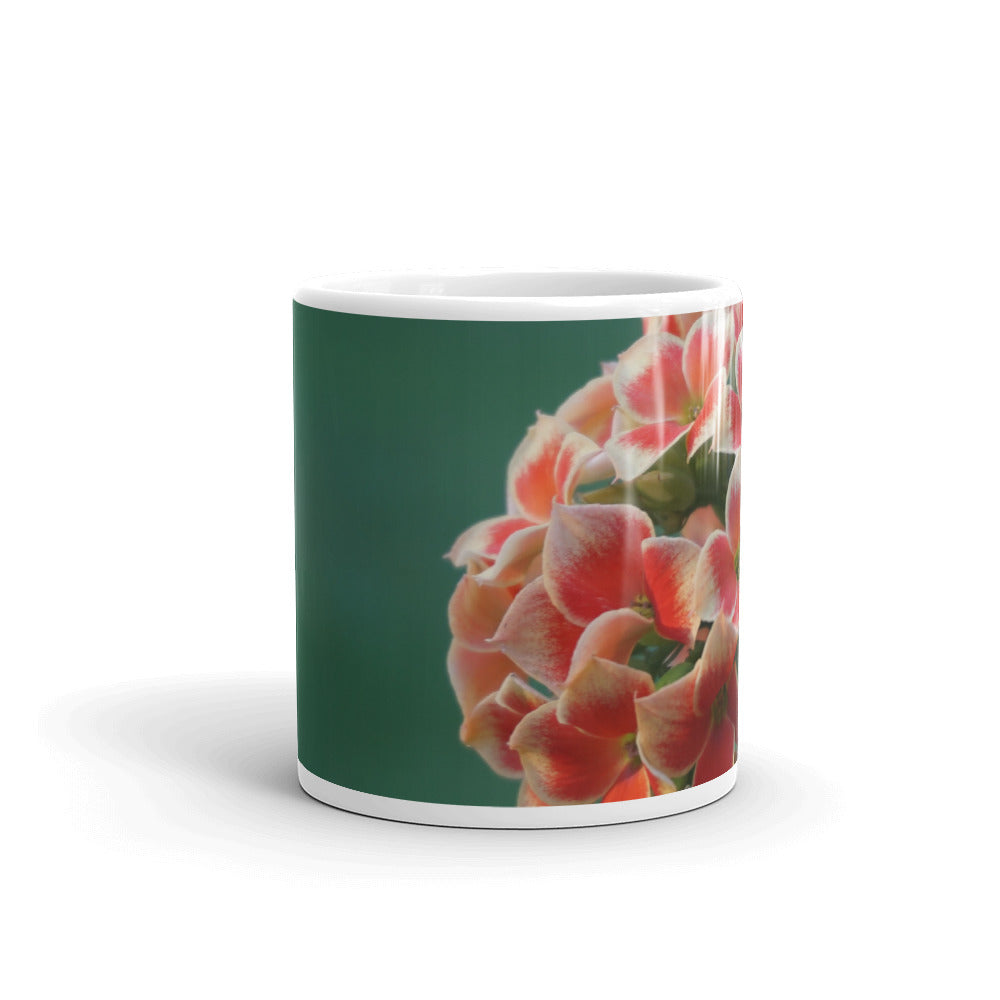 Orange Bi Color Kalanchoe Mug