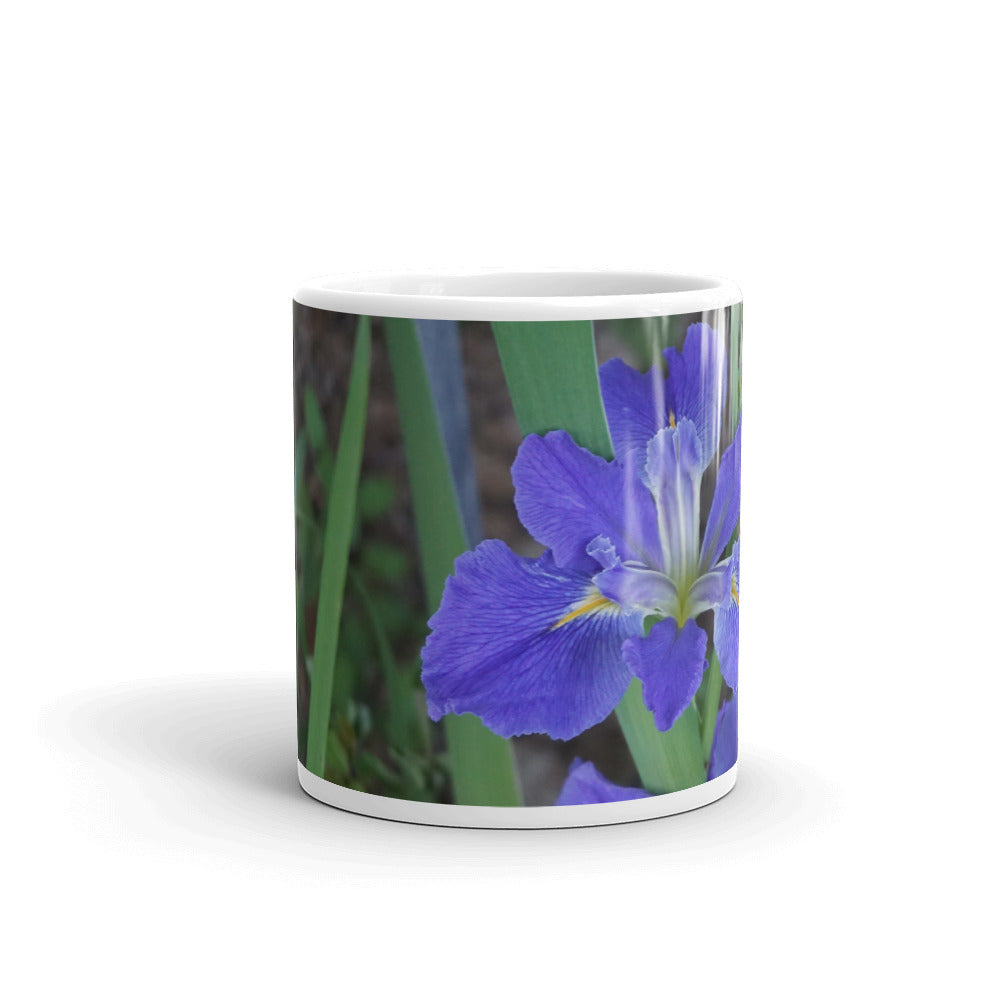 Purple Louisiana Iris without a message