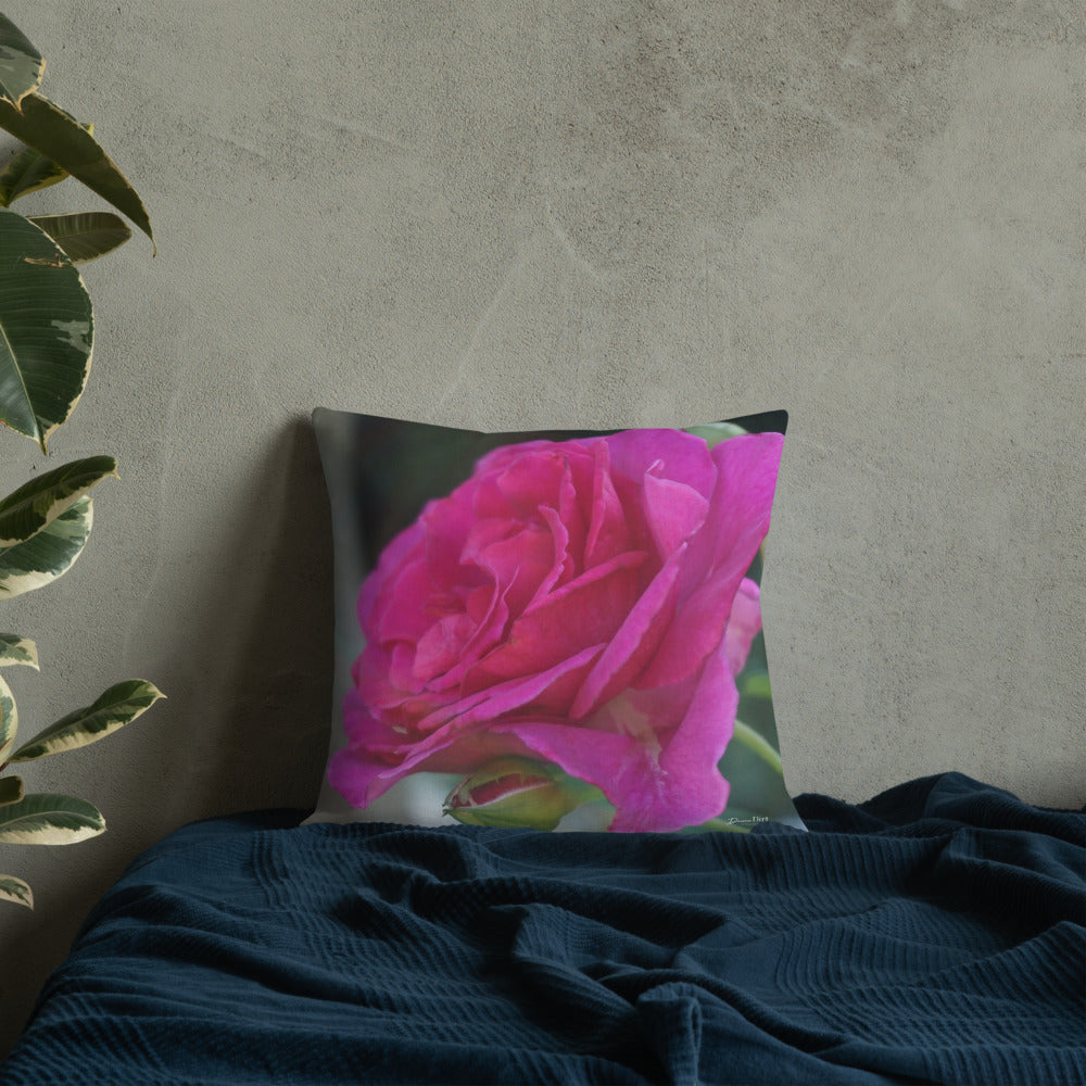 Brindabella Rose "Purple Prince" Premium Pillow-Light Grey Back