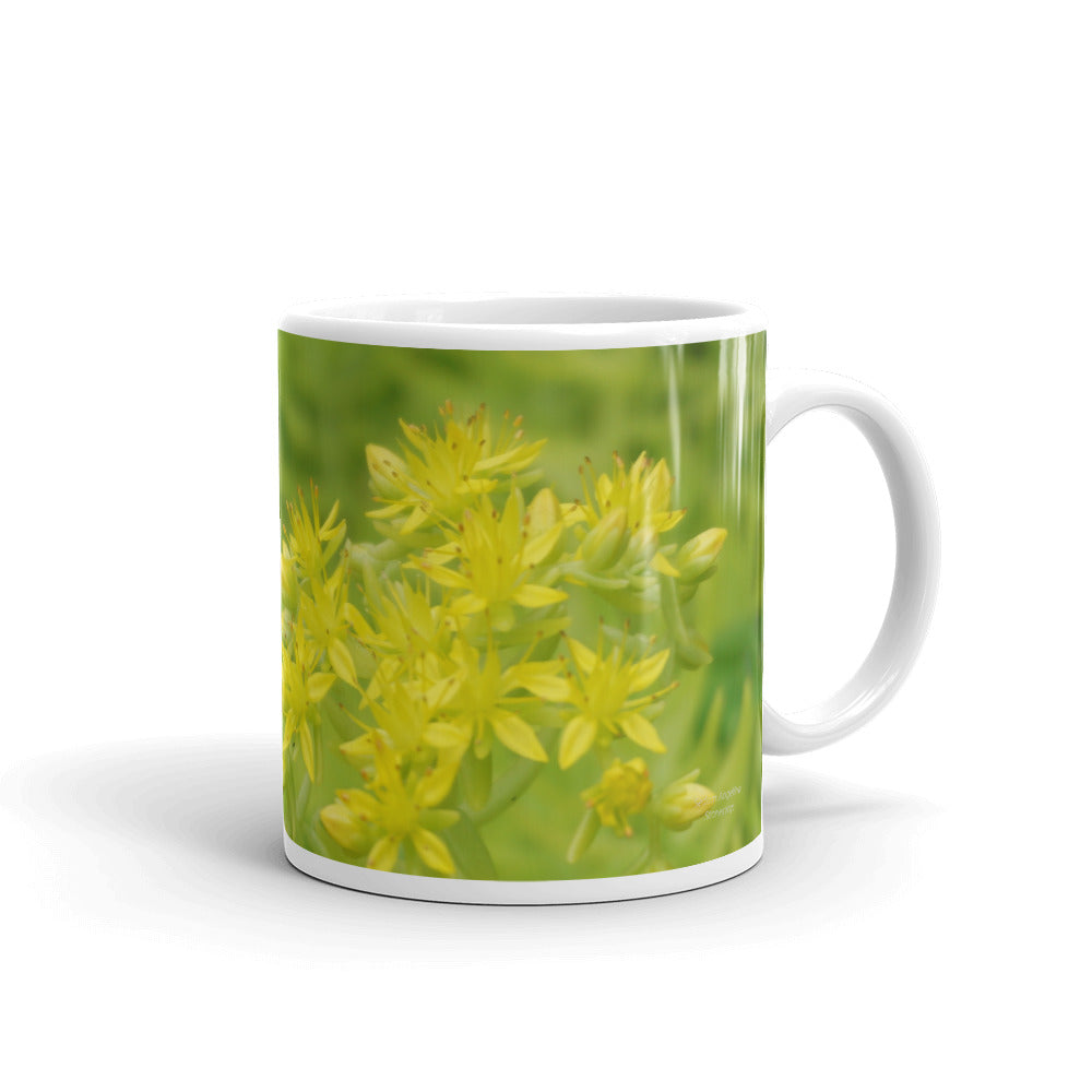 Lime Green Sedum "Give the energy of thanks"