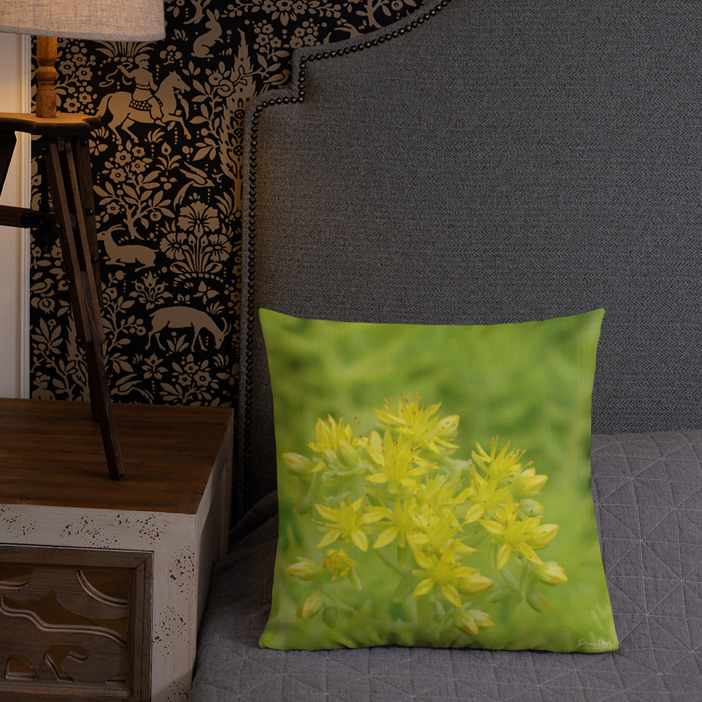 Lime Green Sedum with White Back Premium Pillow
