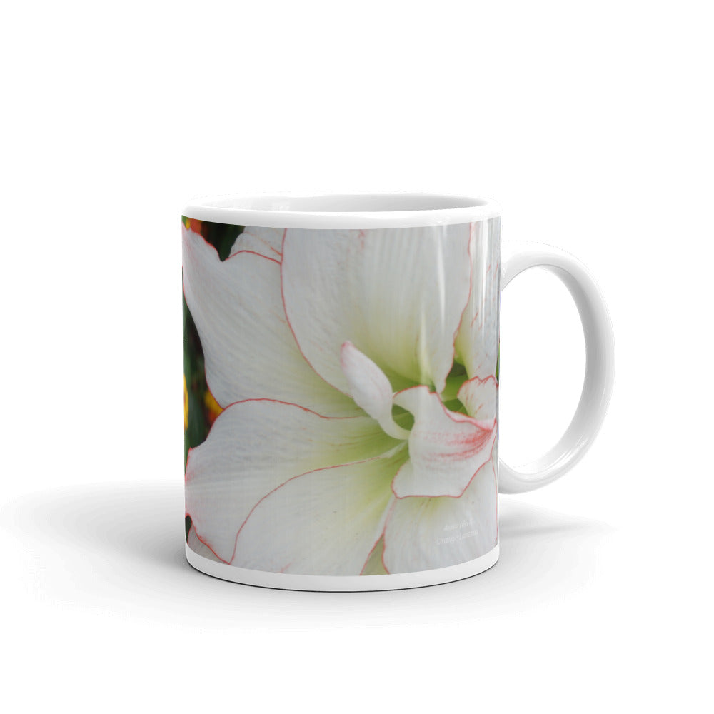 White Amaryllis. "Show your brilliance today"