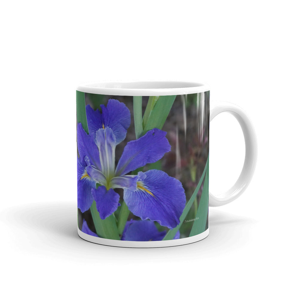 Purple Louisiana Iris without a message
