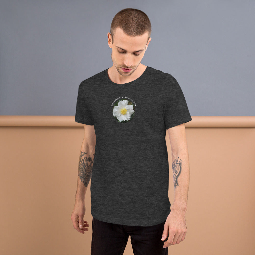 Your inherent Divine nature is joy_Short-Sleeve Unisex T-Shirt
