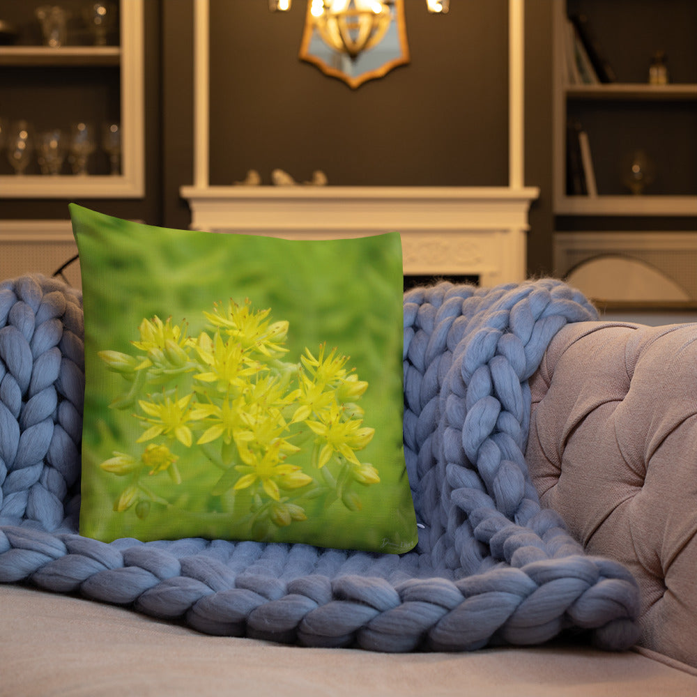 Lime Green Sedum with White Back Premium Pillow