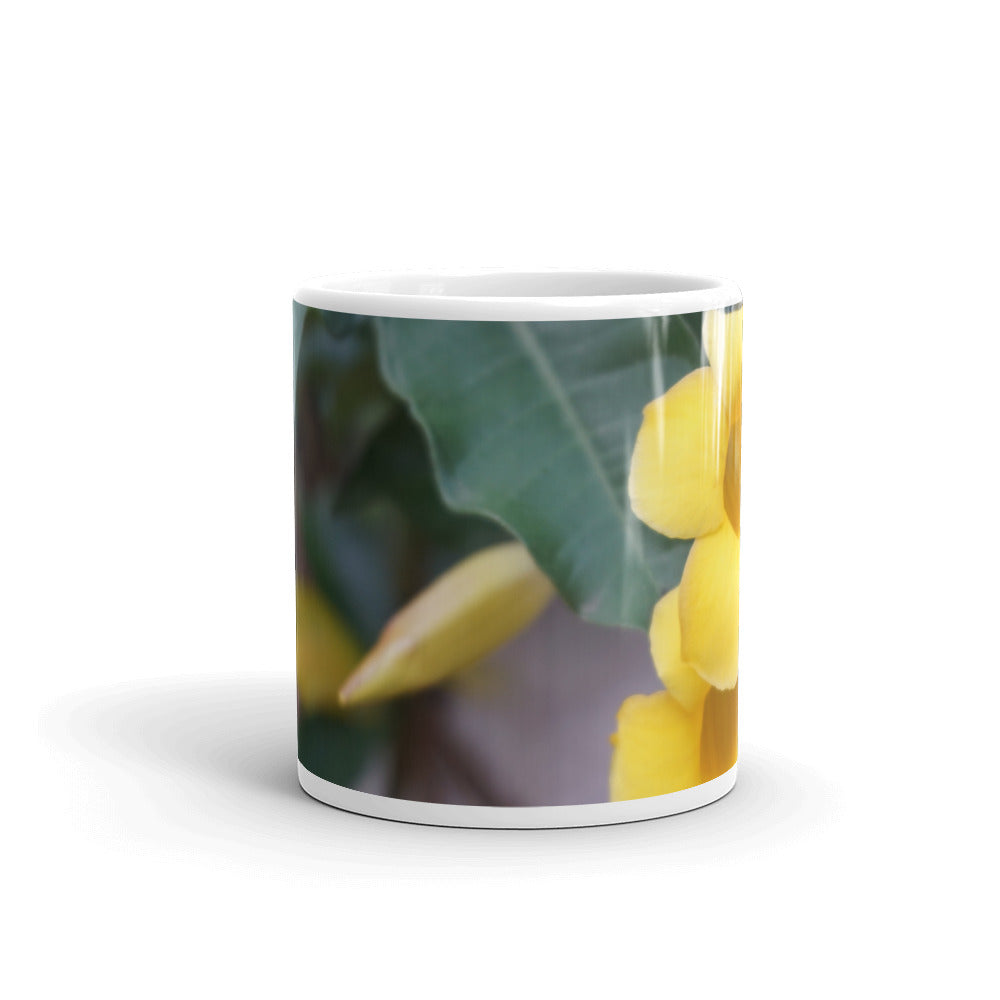 Yellow Allamanda without a message