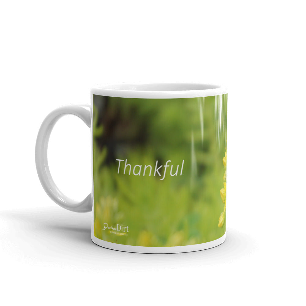 Lime Green Sedum. "Thankful"
