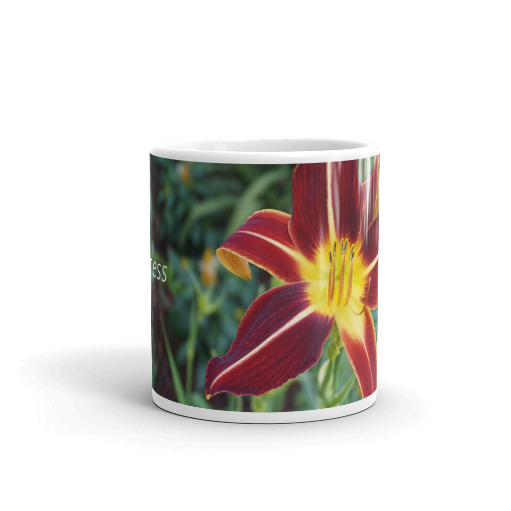 Orange Daylily "Happiness"