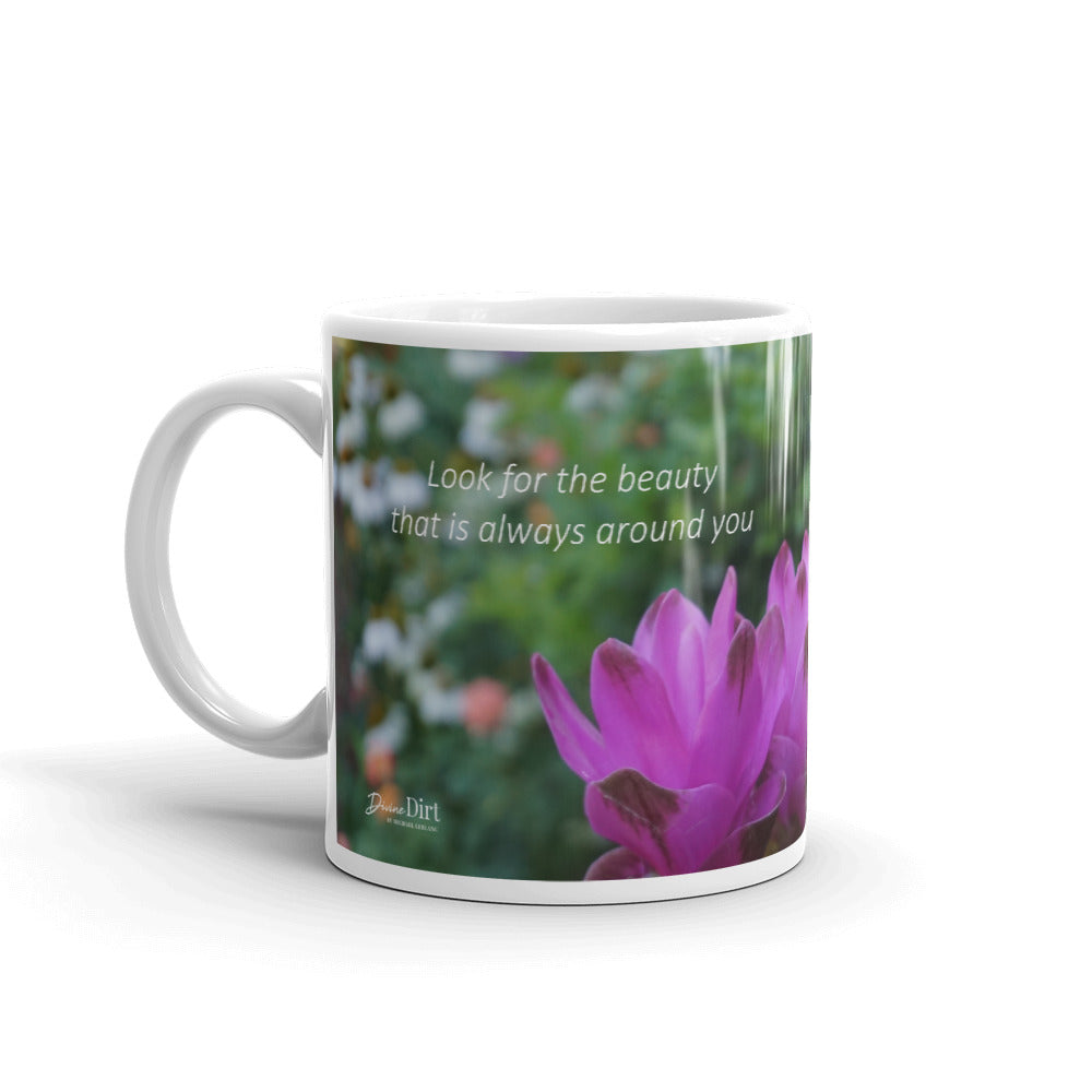 Look for the beauty that is always around you