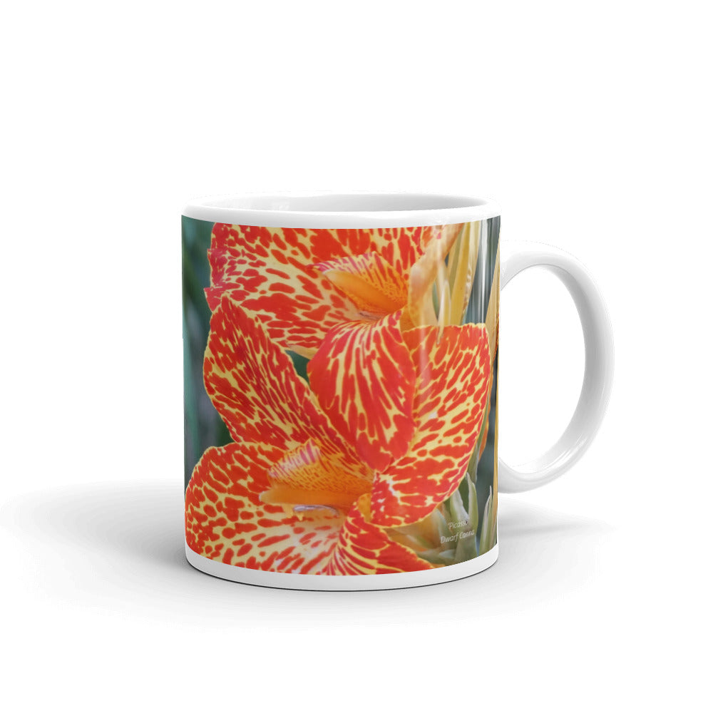 Orange Dwarf Canna-Picasso "Create your reality"