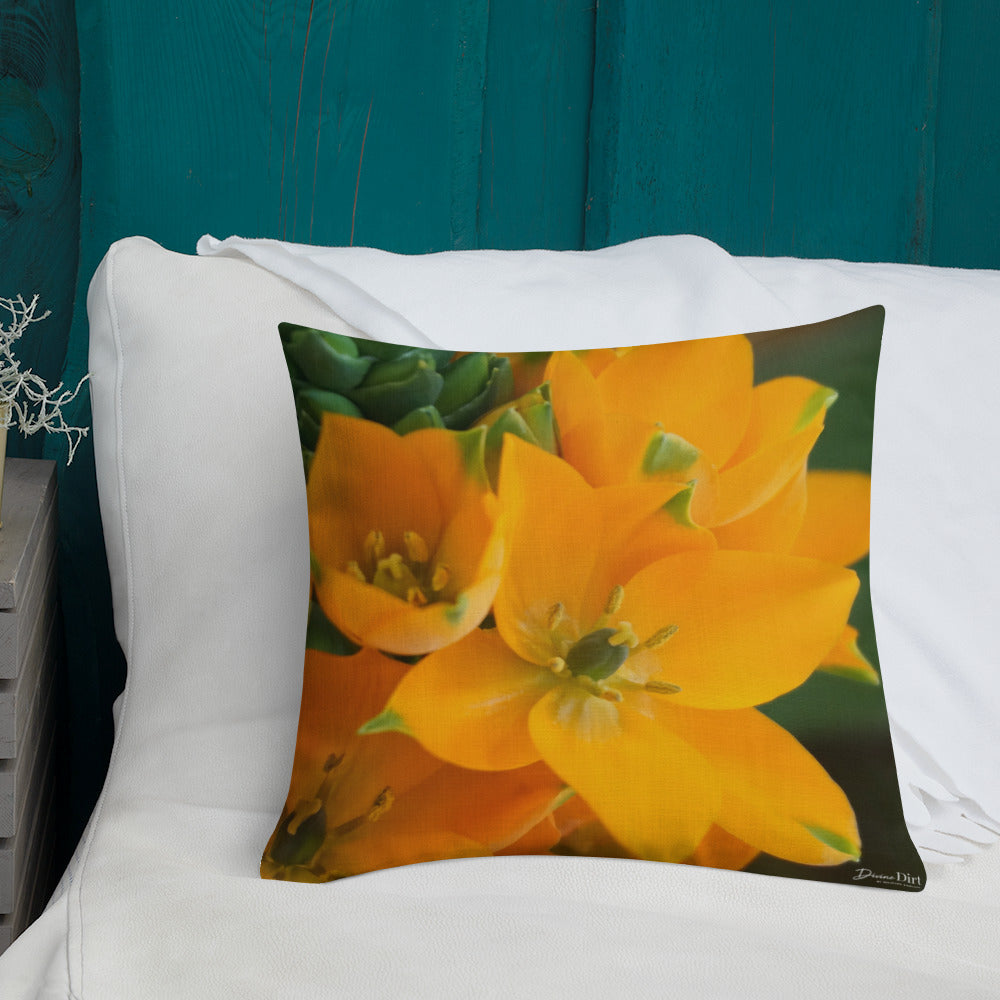 Orange Star Premium Pillow with White Back