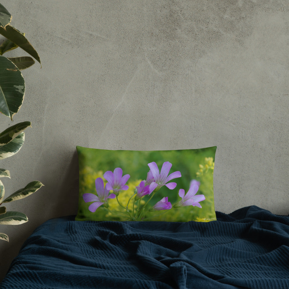 Pink Oxalis & Sedum Premium Pillow with Yellow Back