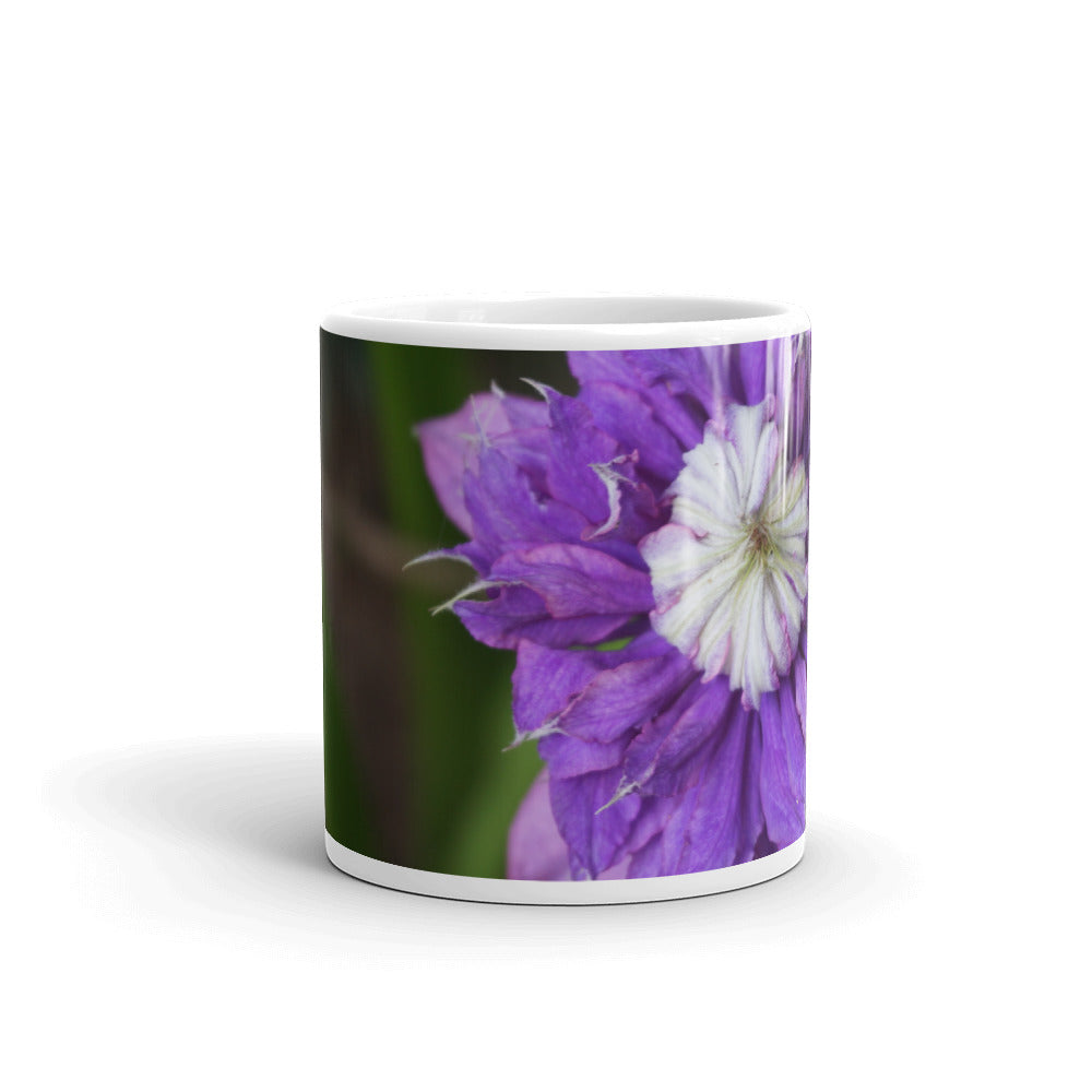 Purple Clematis 'Diamantina' without a message