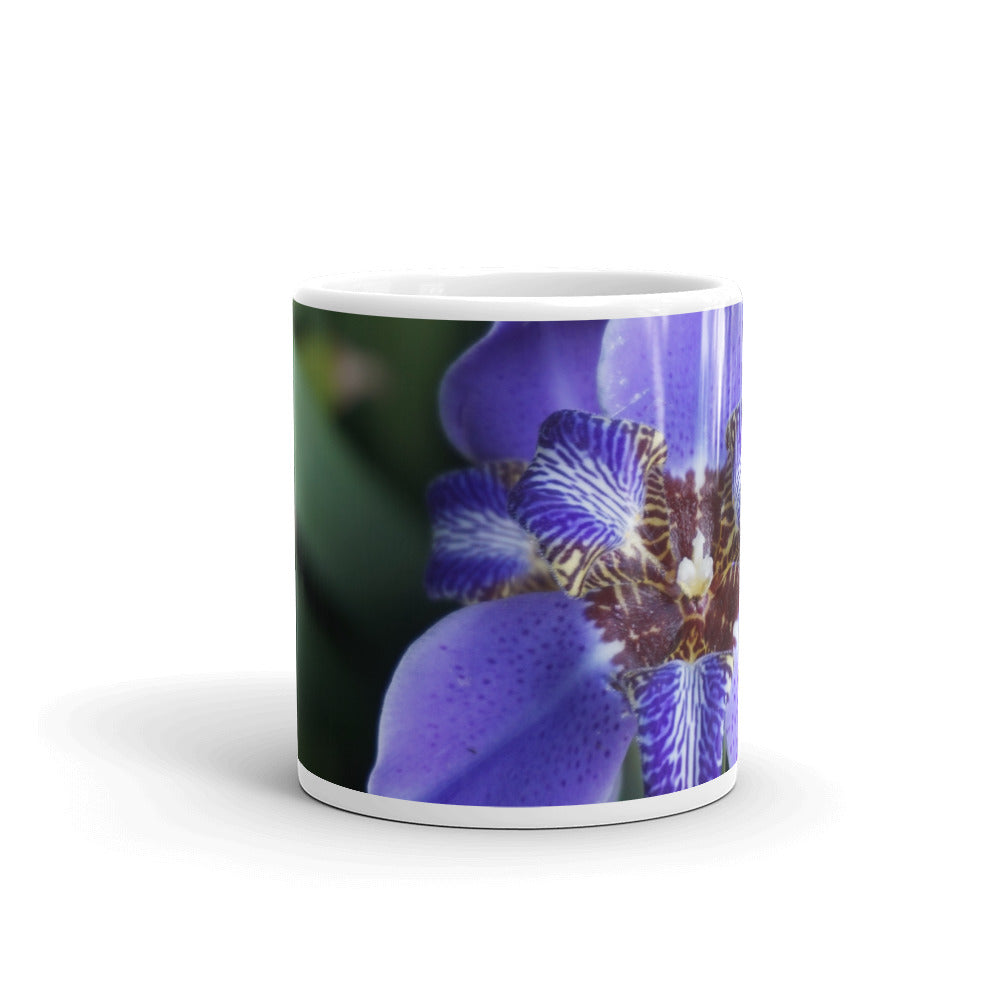 Purple Brazilian Iris without a message