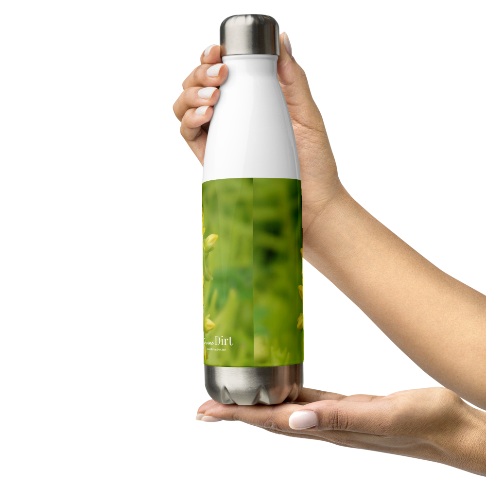 Sedum Stainless Steel Water Bottle