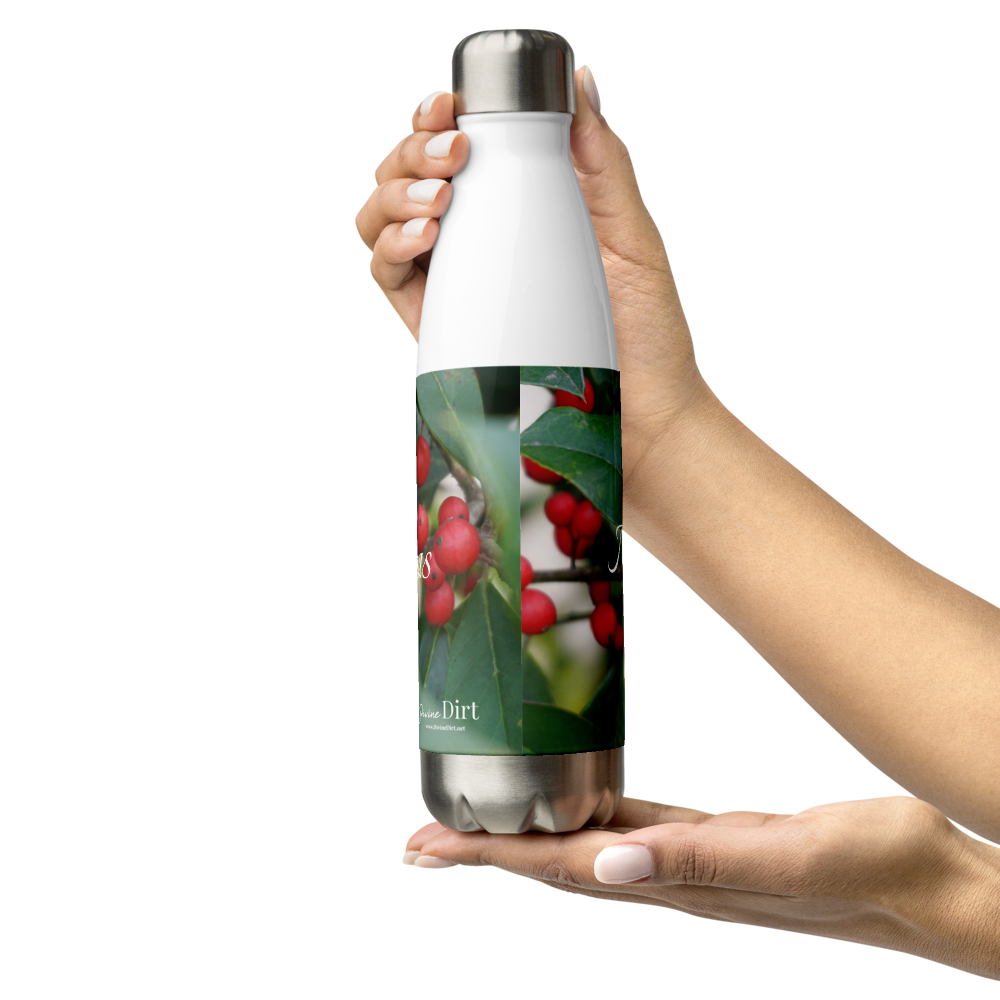 Merry Christmas Stainless Steel Water Bottle