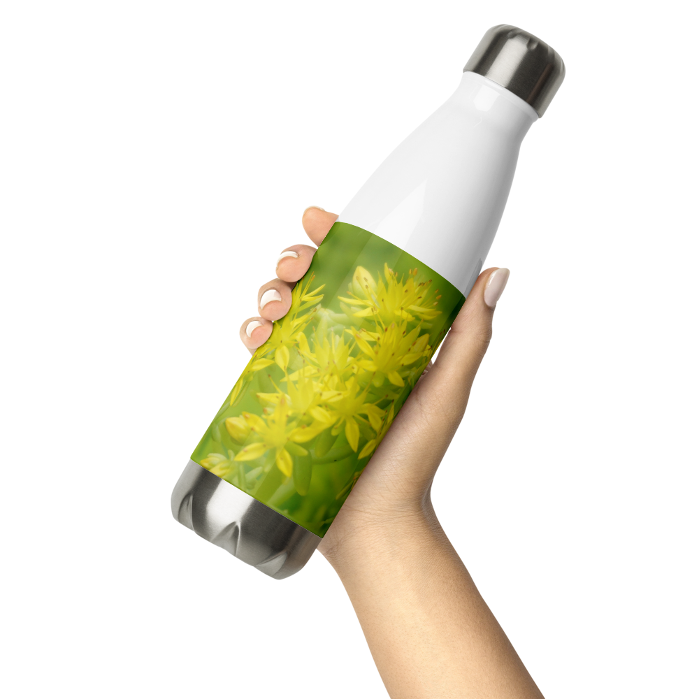 Sedum Stainless Steel Water Bottle