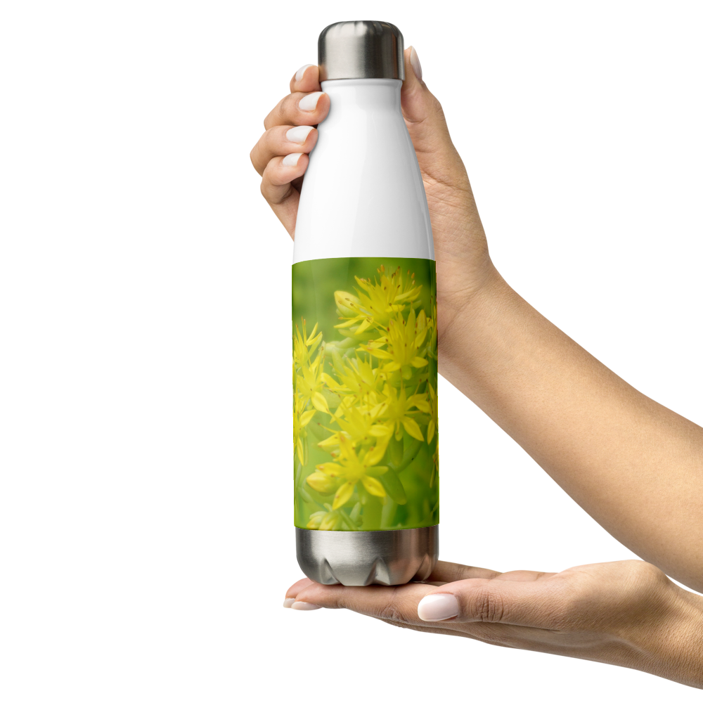 Sedum Stainless Steel Water Bottle