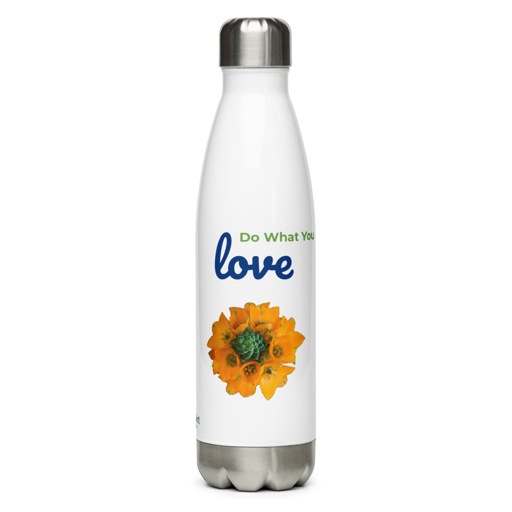 Do What You Love Stainless Steel Water Bottle