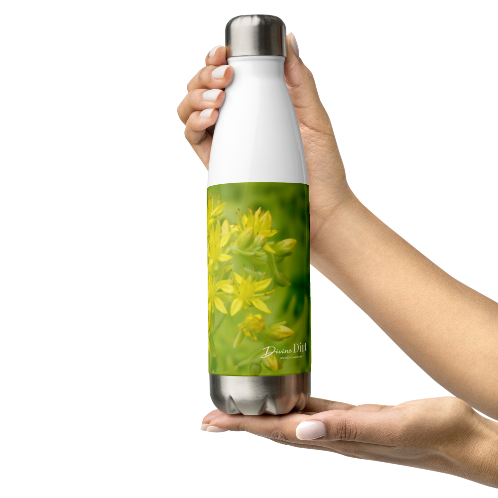 Sedum Stainless Steel Water Bottle