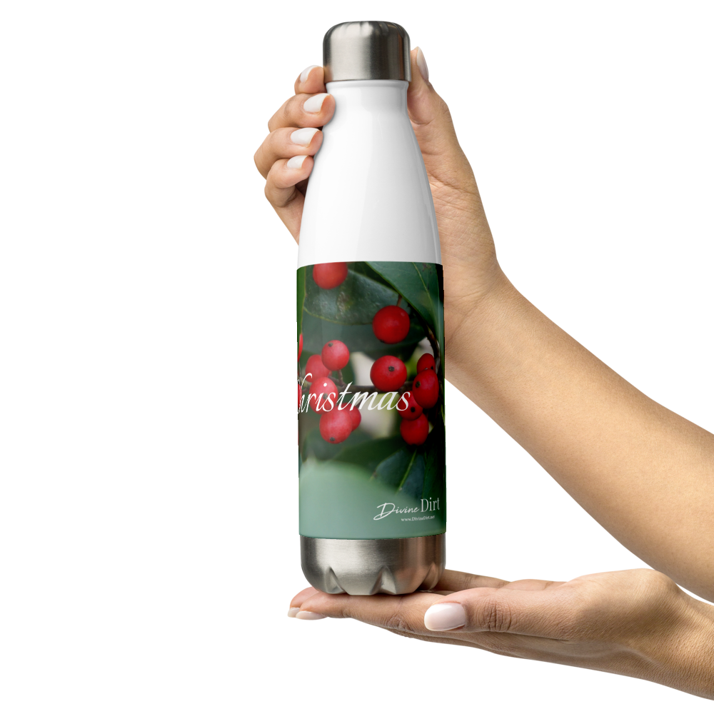 Merry Christmas Stainless Steel Water Bottle