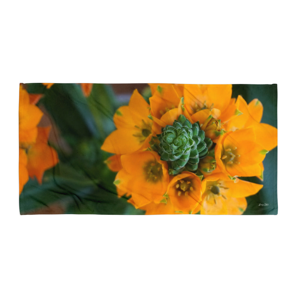 Orange Star 'Symmetry'