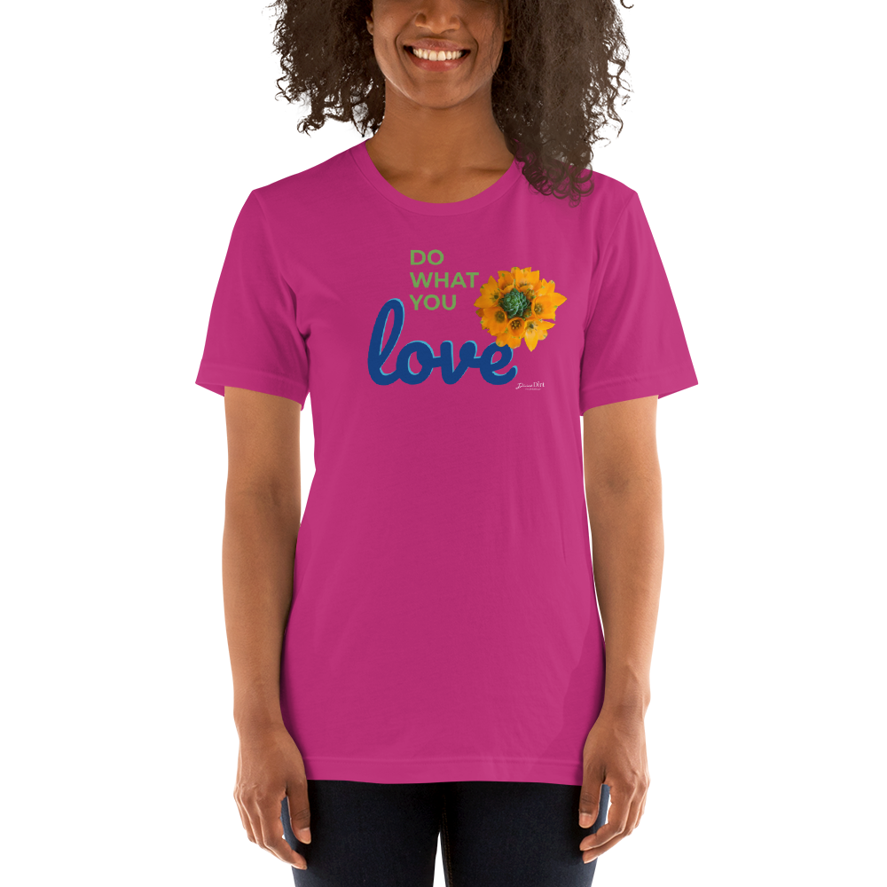 Do What You Love_Orange Star_darker colors