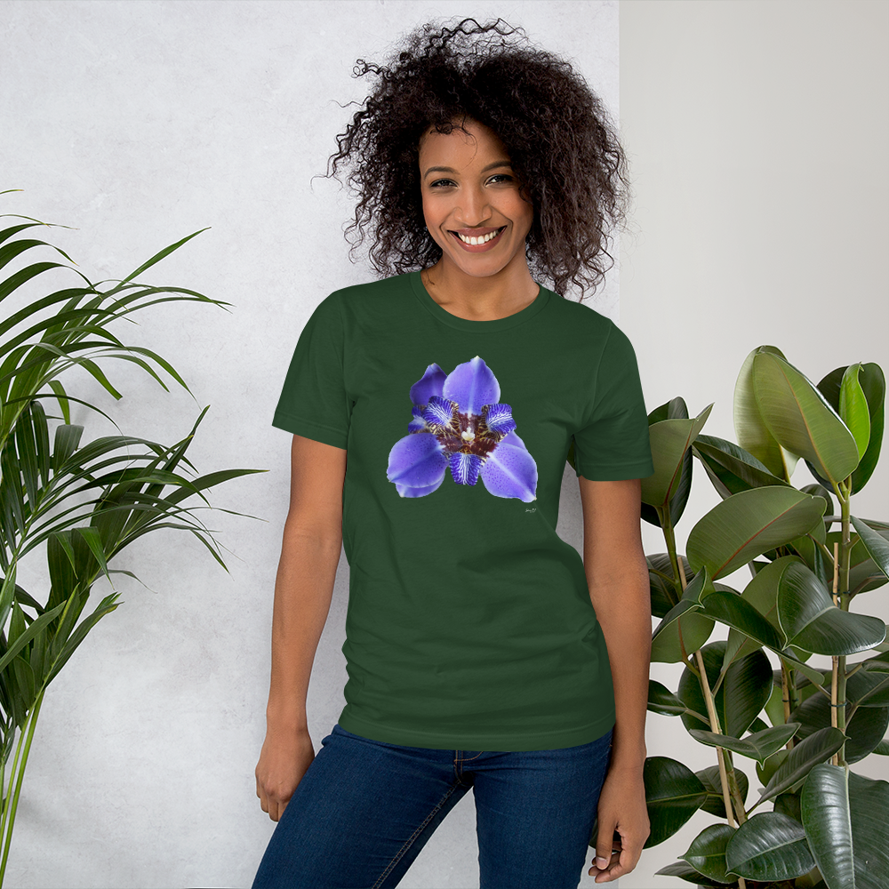 Brazilian Iris