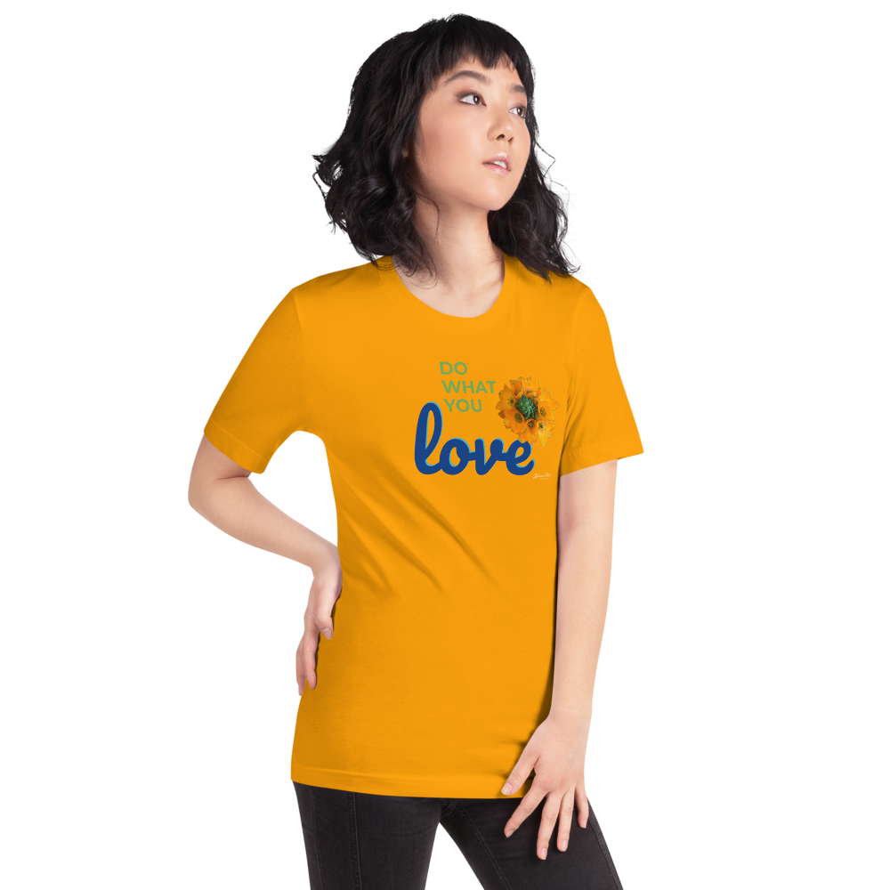 Do What You Love_Orange Star_darker colors