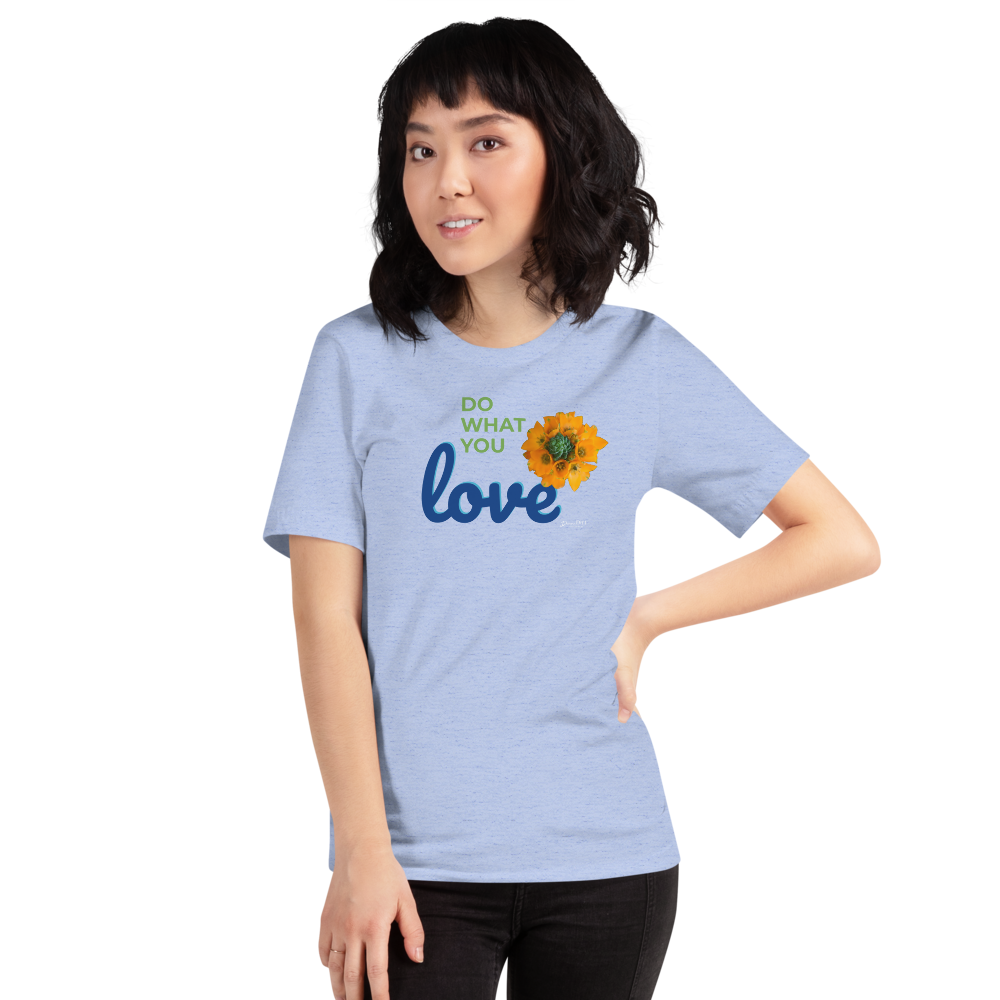 Do What You Love_Orange Star_darker colors