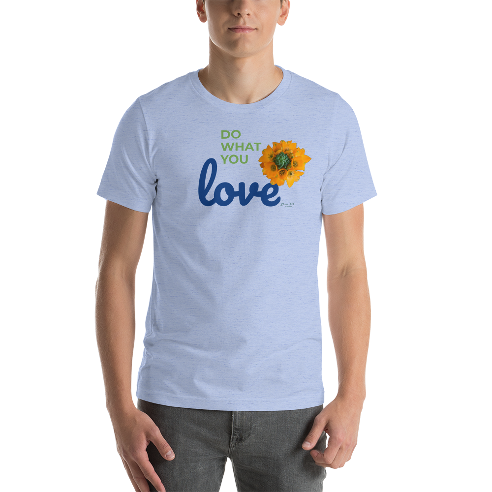 Do What You Love_Orange Star_lighter colors