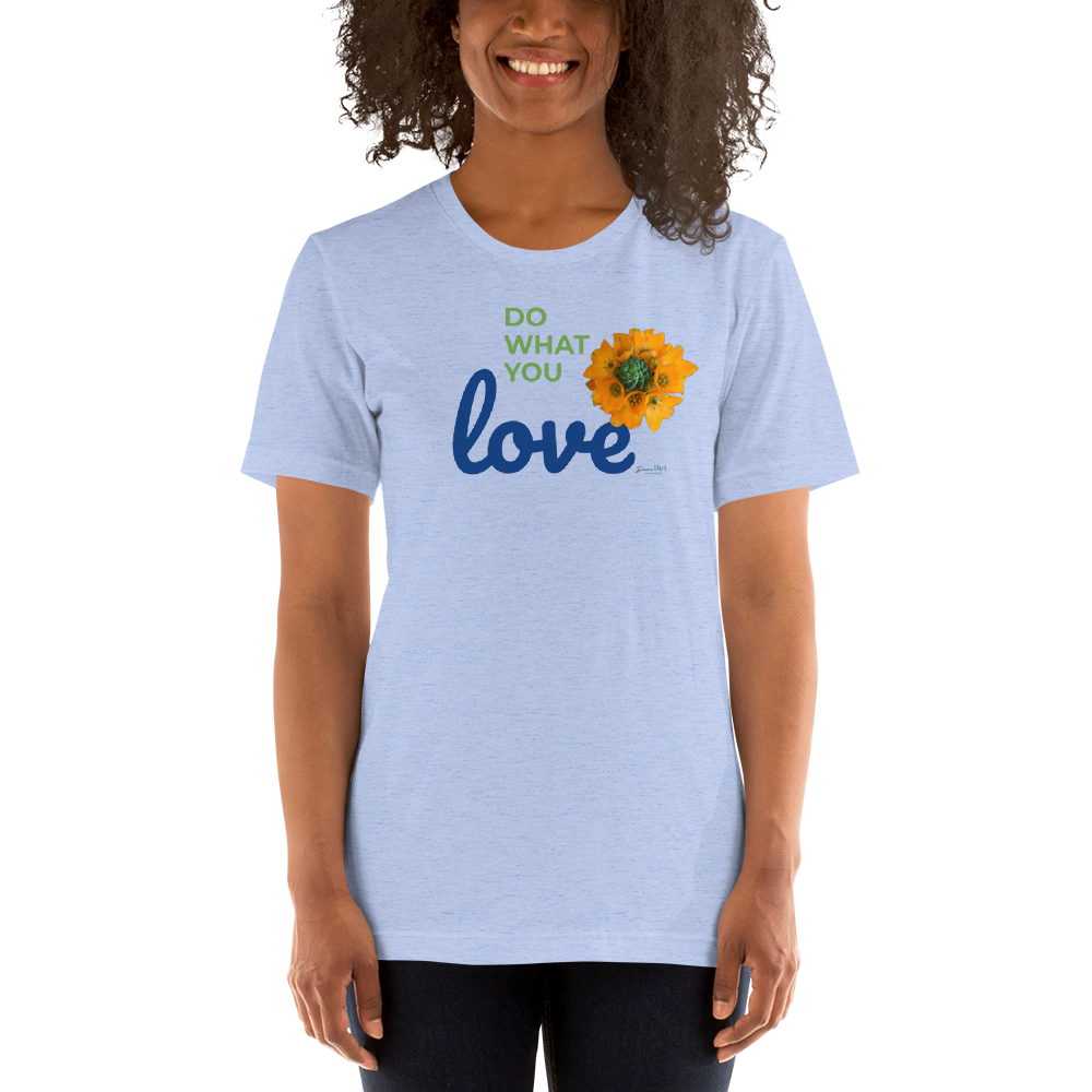 Do What You Love_Orange Star_lighter colors