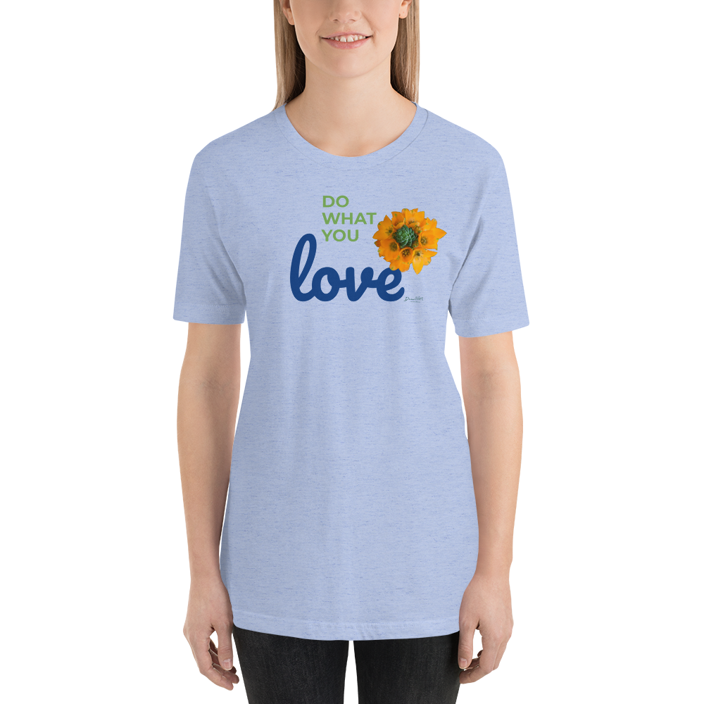 Do What You Love_Orange Star_lighter colors
