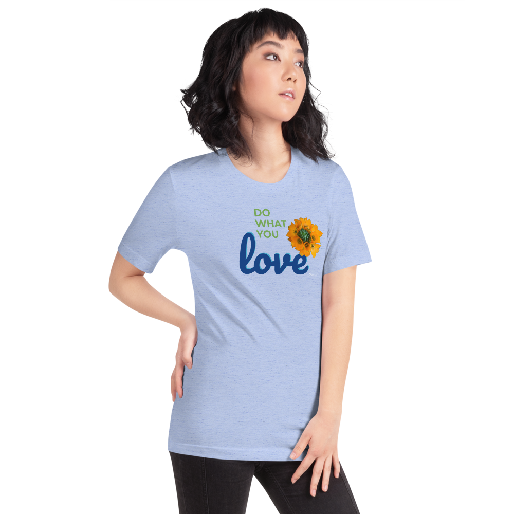 Do What You Love_Orange Star_darker colors