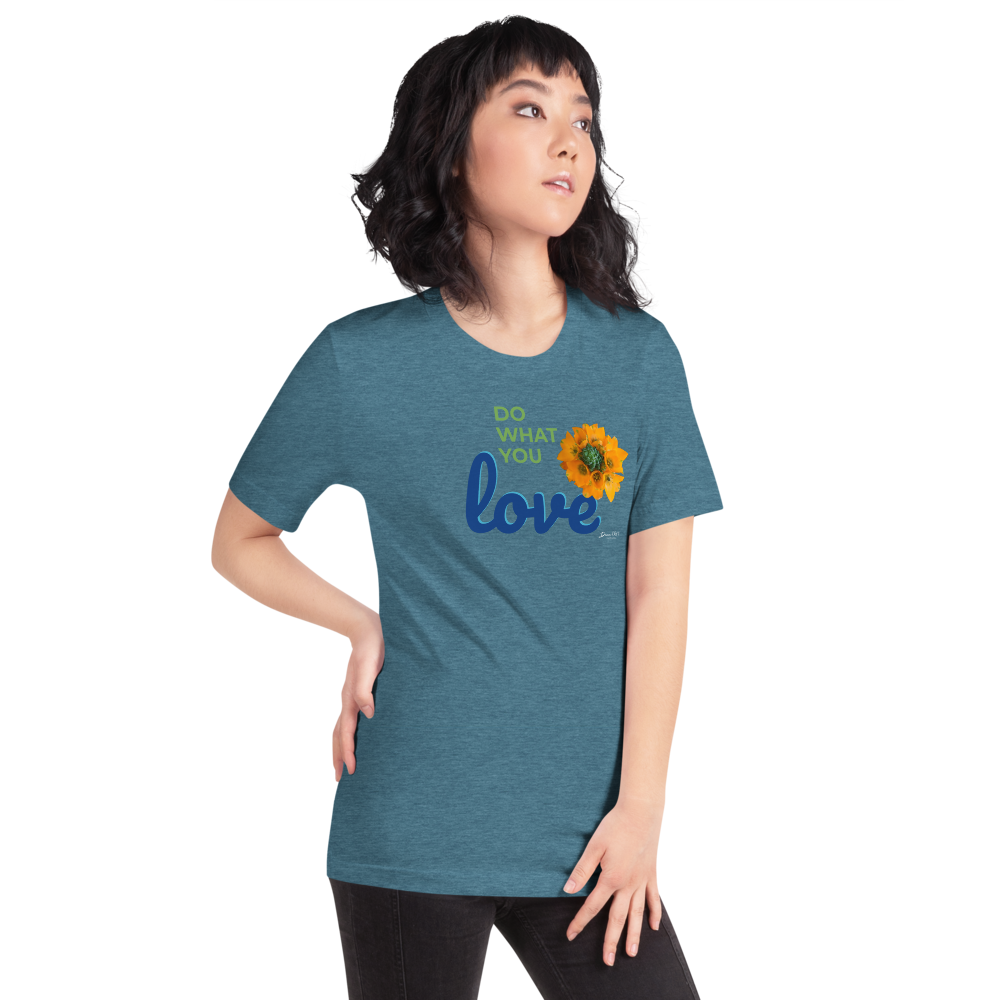 Do What You Love_Orange Star_darker colors