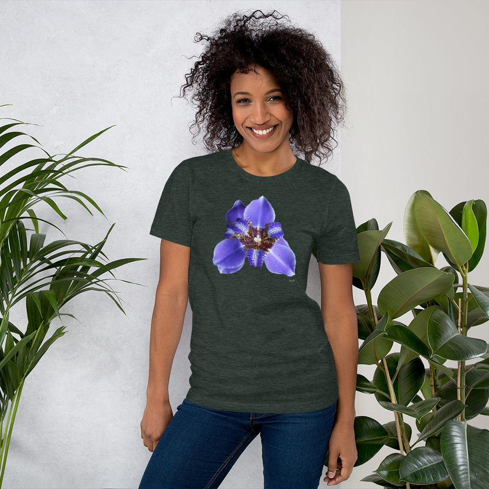 Brazilian Iris
