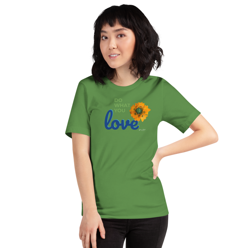 Do What You Love_Orange Star_darker colors