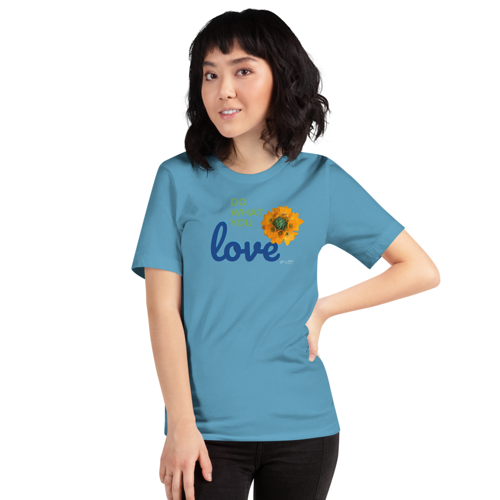 Do What You Love_Orange Star_darker colors