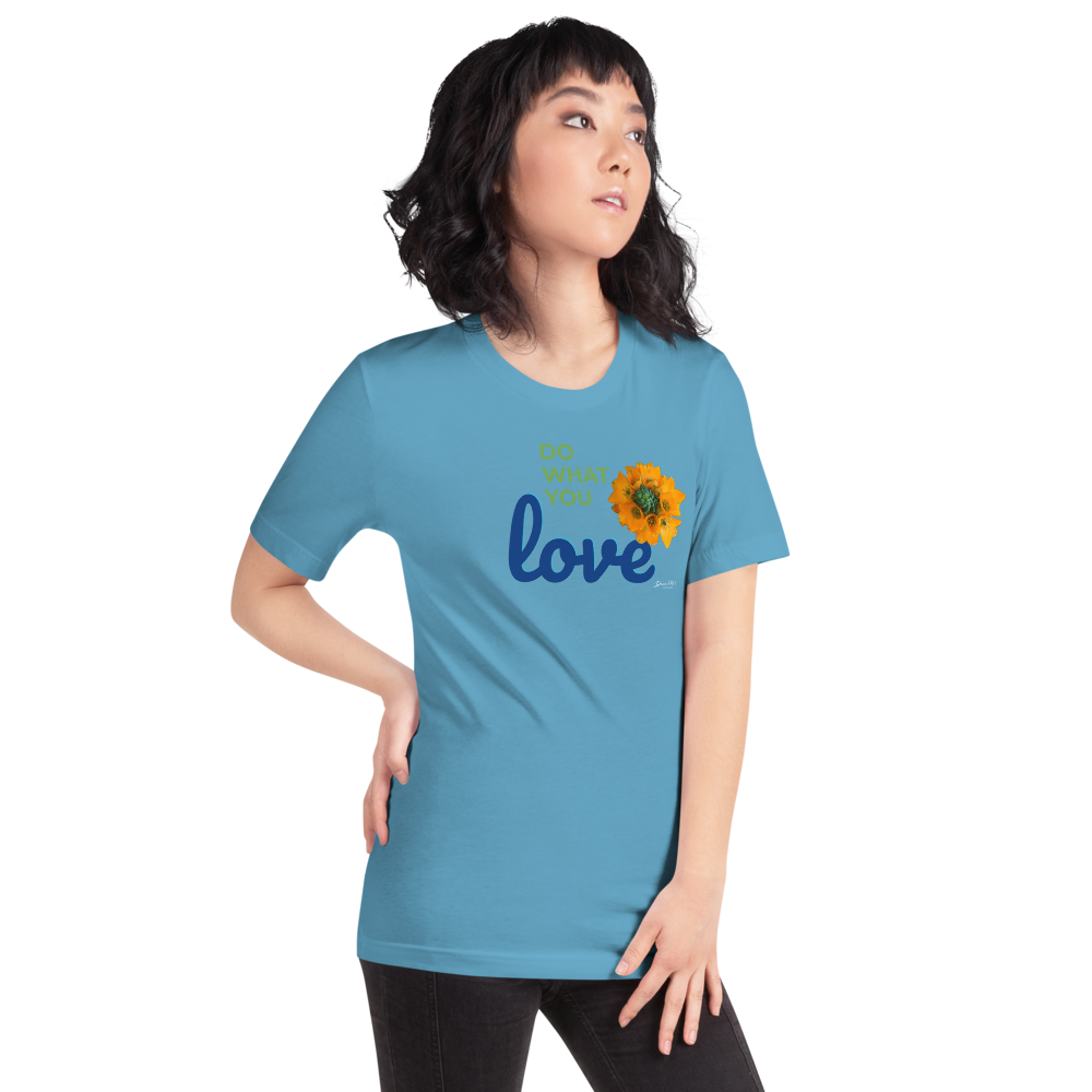 Do What You Love_Orange Star_darker colors