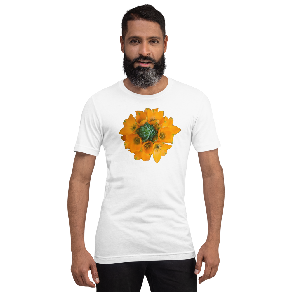 Orange Star