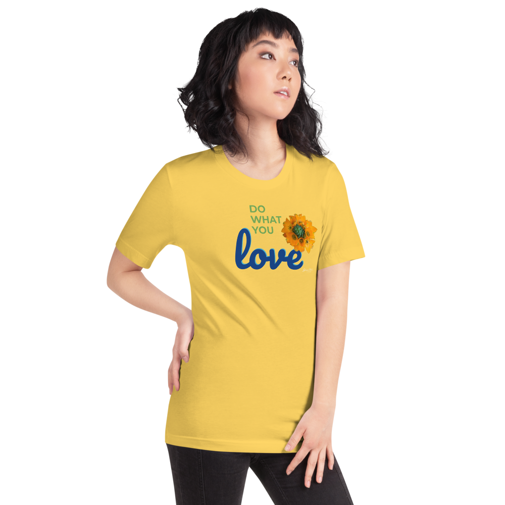 Do What You Love_Orange Star_darker colors