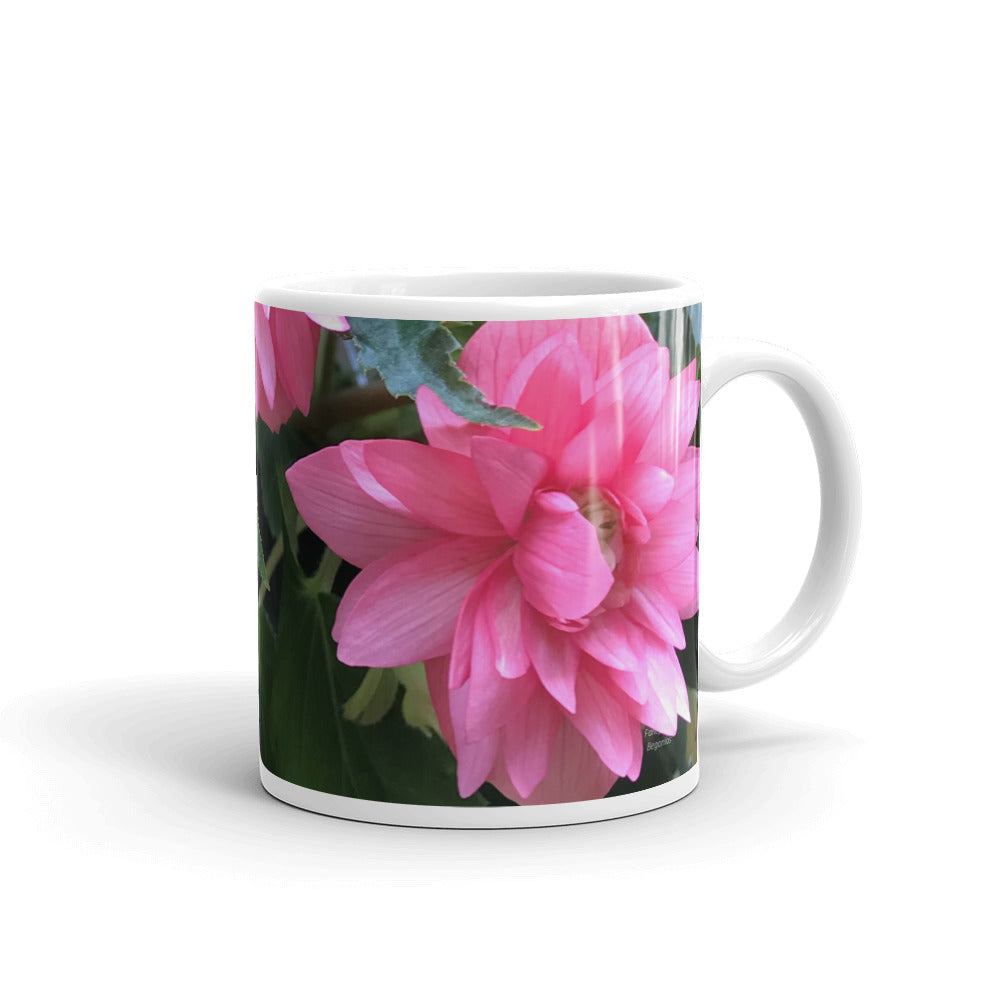 Pink Begonia “Abundance is Everywhere"