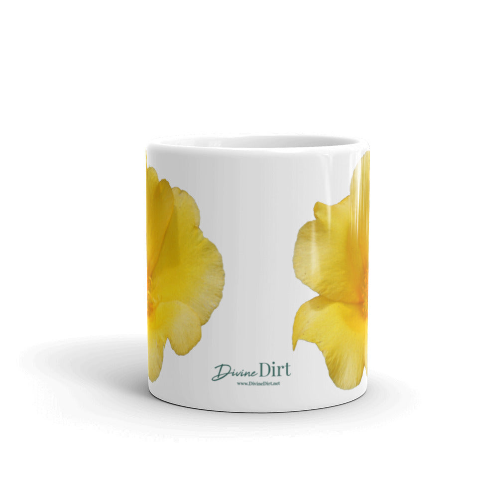 Yellow Portulaca