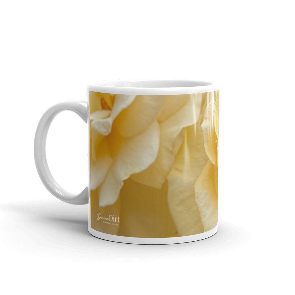 Yellow Roses