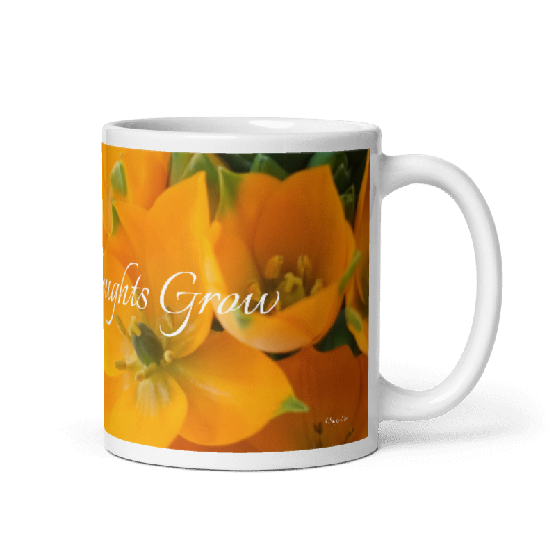 Orange Star_Let Good Thoughts Grwo
