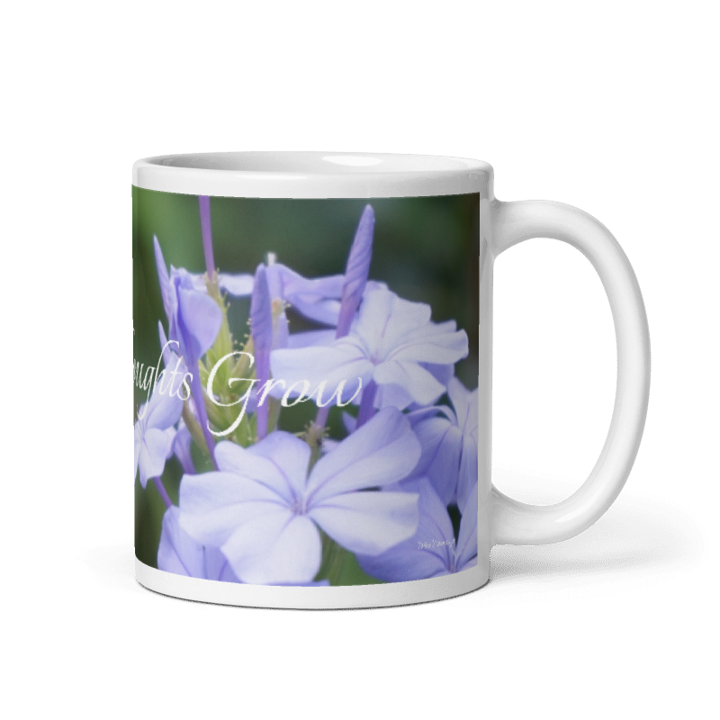Plumbago_Let Good Thoughts Grow