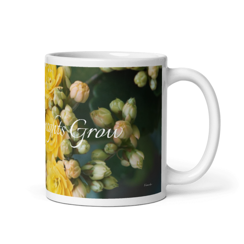 Kalanchoe_Let Good Thoughts Grow